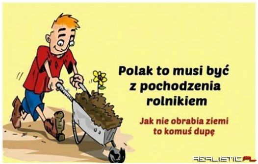 Polak