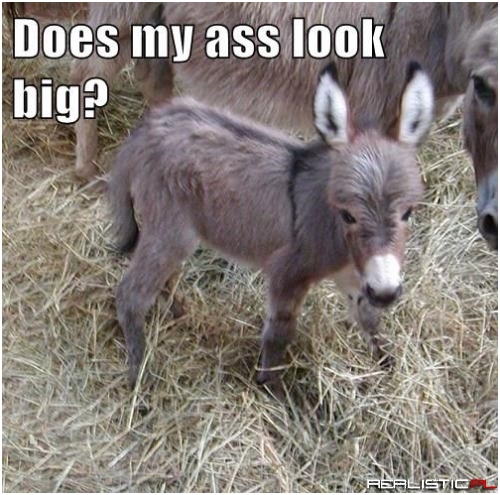 Pretty Tiny Actually