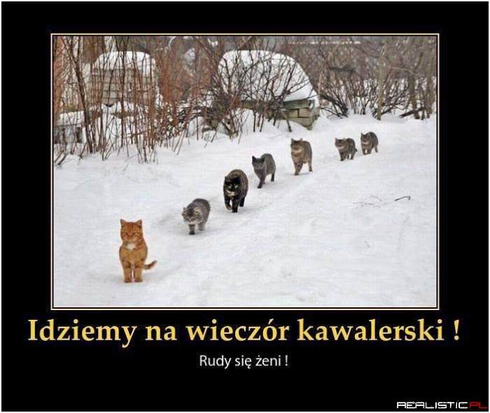 Rudy się żeni