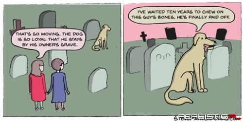 A Dog's Loyalty Knows No Bounds