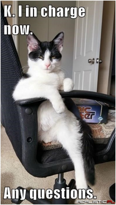 Actually Don't Bother With Questions