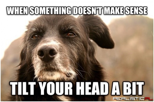 Advice for Dogs