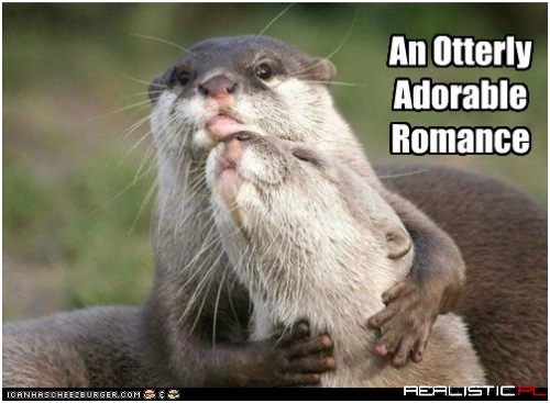 An Otterly Adorable Romance