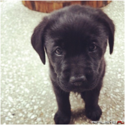 And Then He Grew Up and Broke Everything