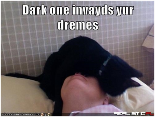 Basement Cat Claims Another Minion