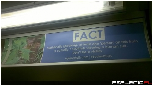 Be Sure to Spot the Squirrels Among Us