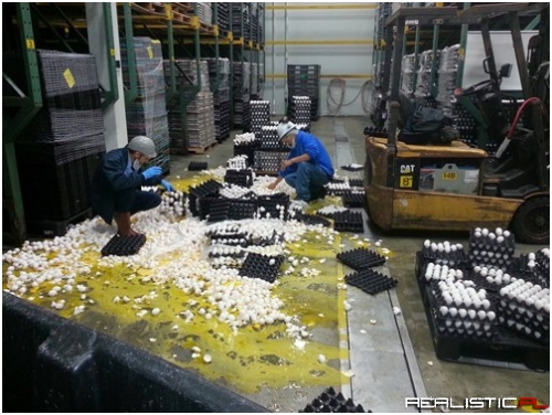 Better Just Quit Your Job While You're Ahead