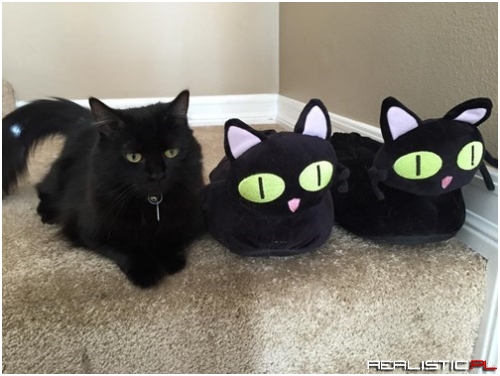 Blending Into Your Surroundings