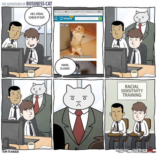 Business Cat Has No Tolerance For This Kind of Malarky