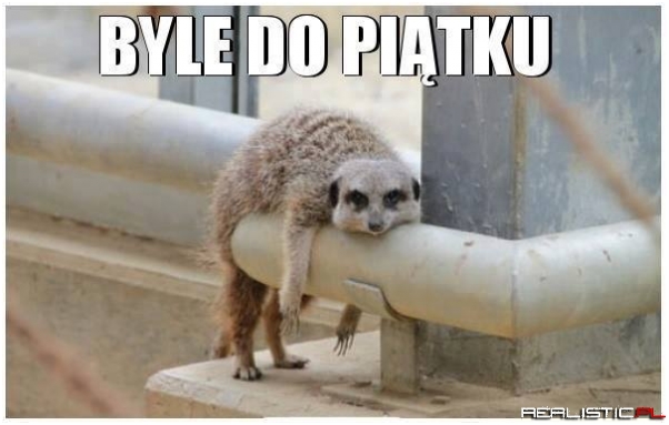 Byle do piątku