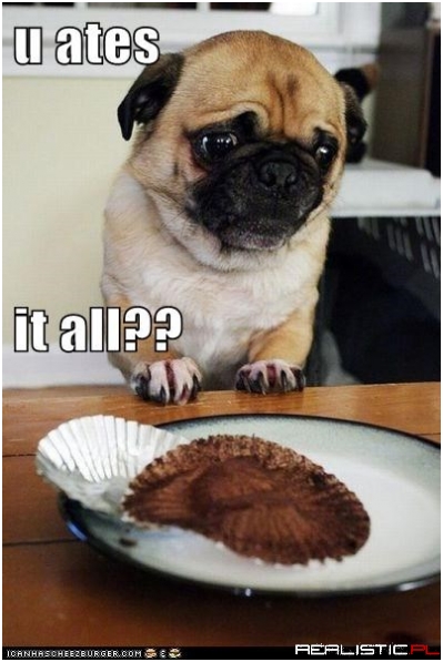 Can I Has Extra Goodiez