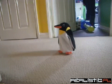 Dachshund Vs. Penguin