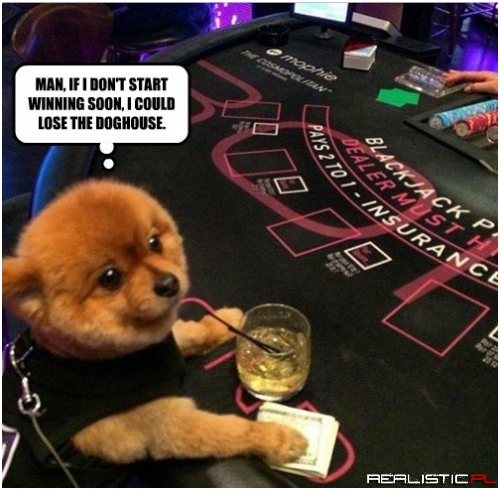 Daddy Needs a New Collar