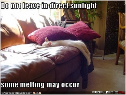 Do not leave in direct sunlight some melting may occur