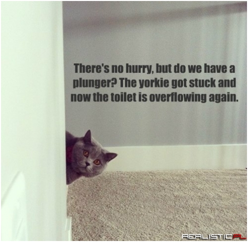 Don't Get Up, I Got This