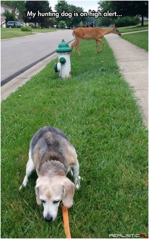 Don't Worry, Human, I'm on the Case!