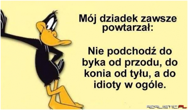 Dziadek ma rację