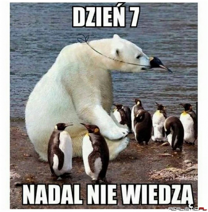 Dzień 7