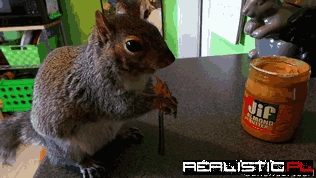 Everyone Likes Almond Butter