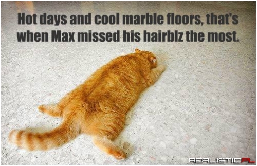 Feeling Sentimental Enough to Start Balling