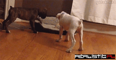 Get Out of the Double Bed