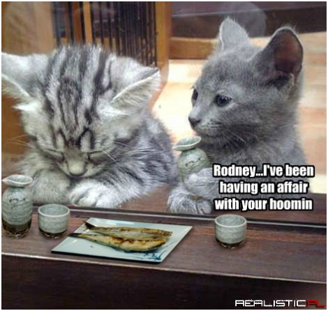 I Knew It...I Could Feel It In Her Belly Rubs