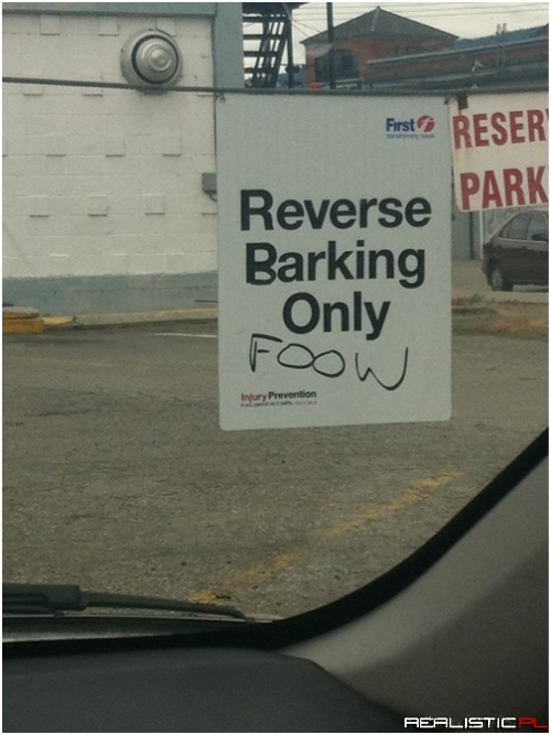 I See What You Did There...