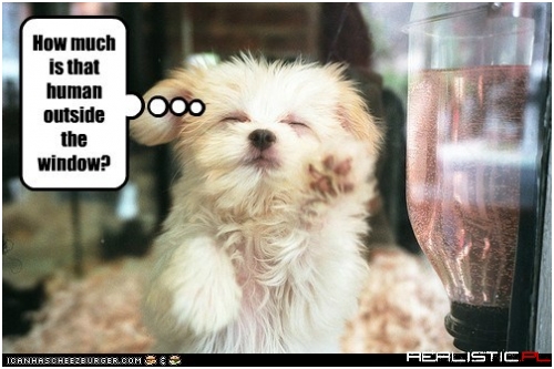 If the Price is Right