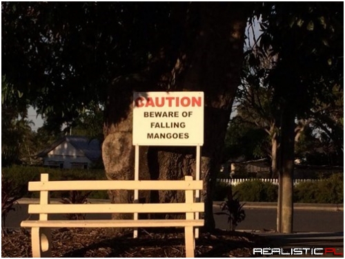 In Australia, Even the Fruit is Out to Get You