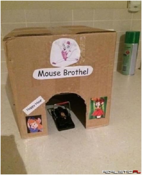 It's Been Good, Nice