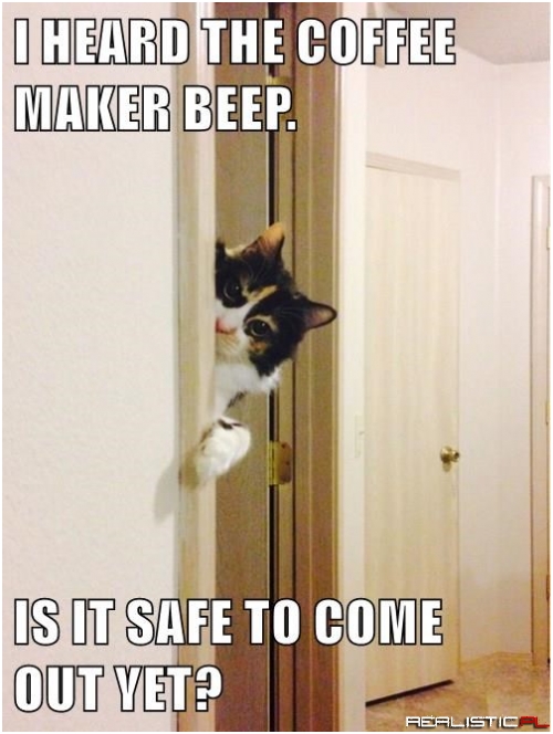 It's Dangerous to Face Monday Alone