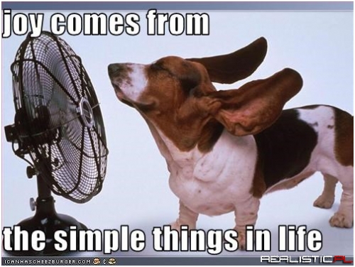 Joy comes from the simple things in life