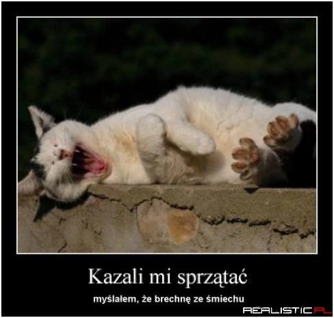 Kazali mi sprzątać