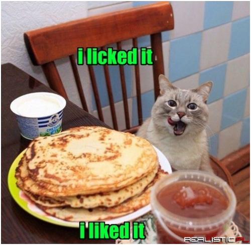 Kitty Tested and Approved