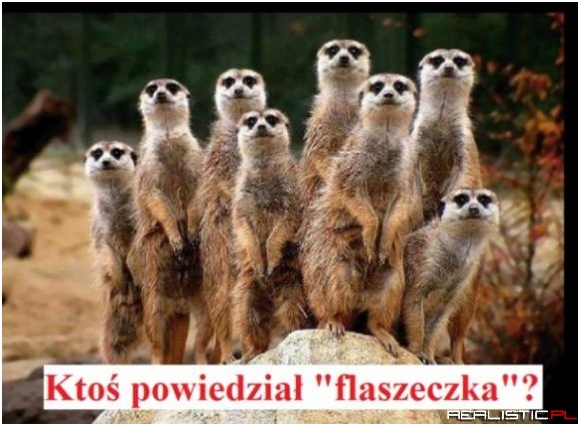 Ktoś powiedział...