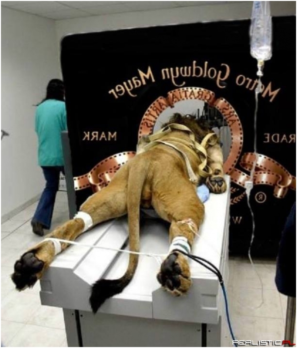 Kulisy znanej produkcji..