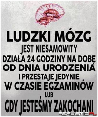 Ludzki mózg