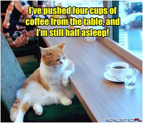 Maybe I Should Try Some House Plants