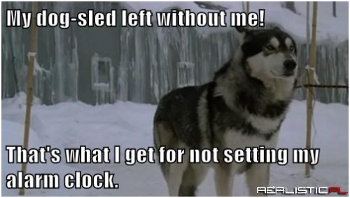 My dog-sled left without me!