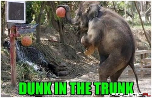 Natural Basketball Association