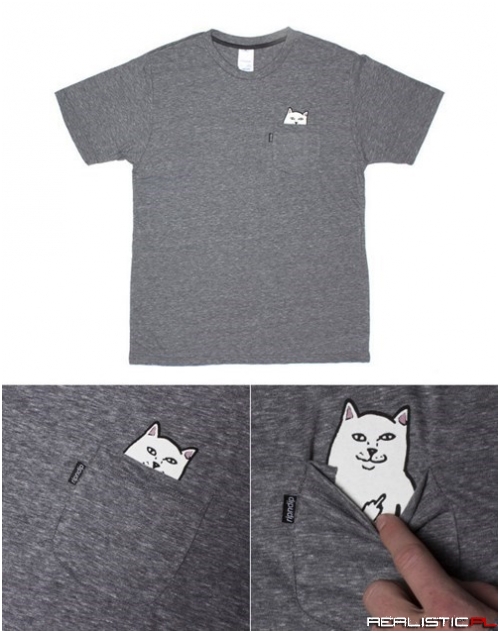 Naughty Cats Are Invading Our Shirts!