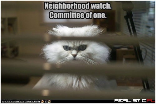 Neighborhood watch