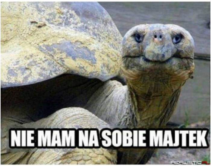Nie mam na sobie majtek
