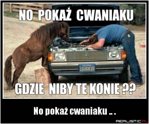 No pokaż cwaniaku