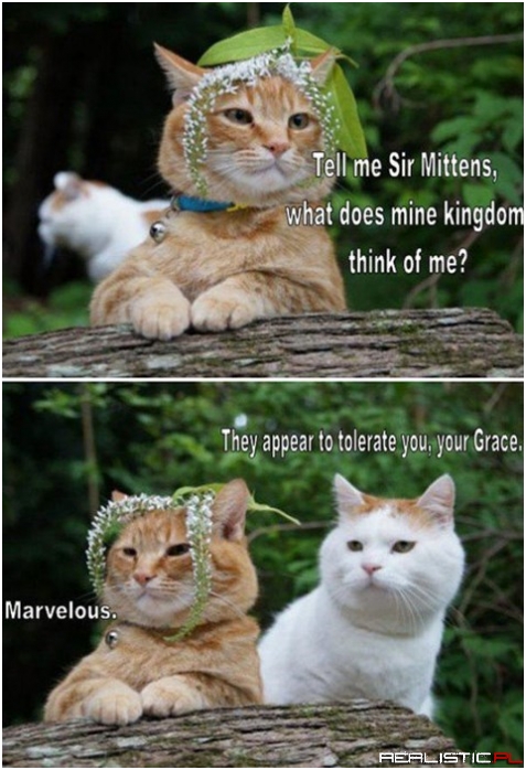 Now Bring Me a Chilled Gooshy Nom