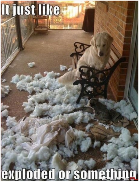 Seems Reasonable to Me