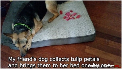 She Appreciates Beauty