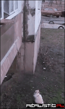 So THAT'S Where The Brothers Grimm Got The Idea!