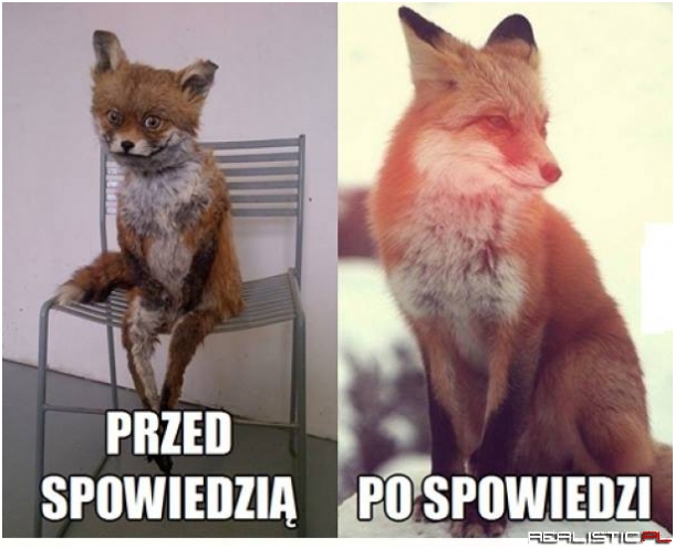 Spowiedż