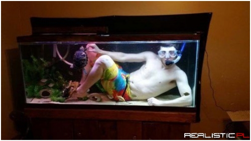 Swimming With the Fishes